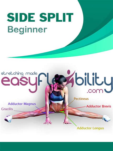 Image result for Beginner Split Tutorial