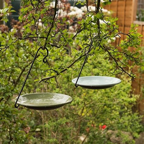 Buy Hanging bird bowl set - Crocus green: Delivery by Waitrose Garden