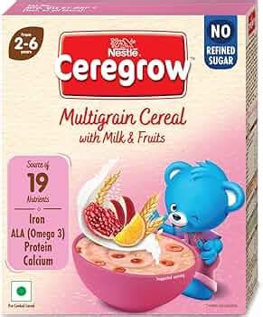 Fitspire Protein Bar (Pack of 12 Combo) - Choco Fudge Flavor, 720 gm ...