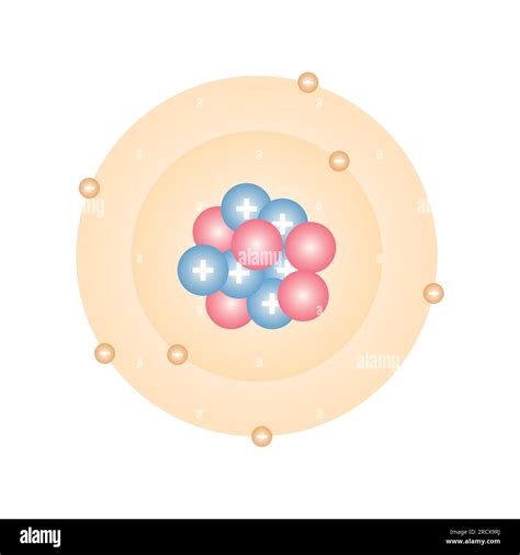 Atomic Model 的图像结果