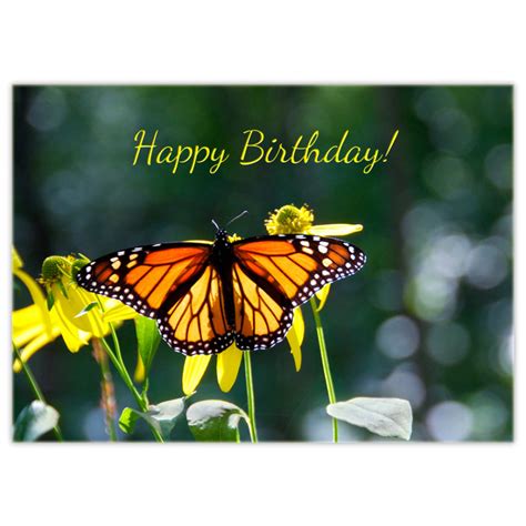 happy birthday butterfly quotes