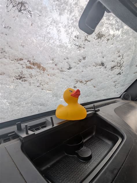 Jeep Duck Dashboard Mount – Angry Jeep Ducks
