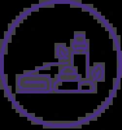 Gold Standard Camphor Tablets Big (500g)