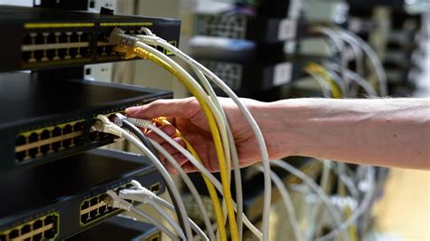 Switch Network Device 的图像结果