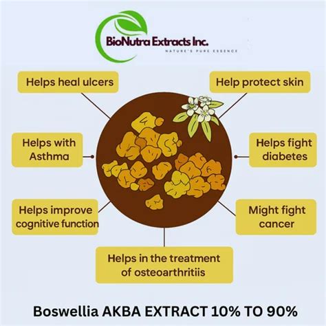 Natural Herbal Extract - Boswellia Serrata 30% AKBA Extract Trader ...