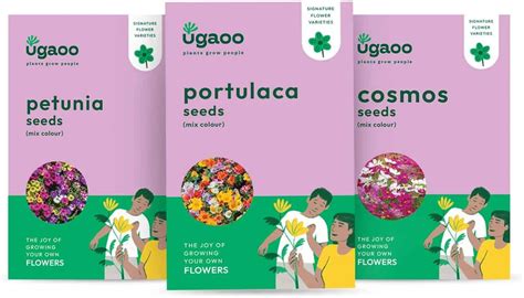 UGAOO Flower Seeds Combo Of Cosmos Mix, Petunia Mix, Portulaca Mix ...