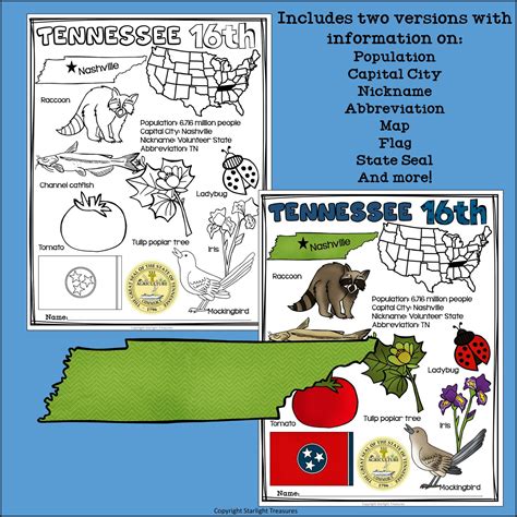 Tennessee Fact Sheet for Early Readers - A State Study | Made By Teachers
