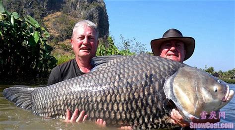 盘点世界上钓到的最大的鱼[9] - 雪炭网