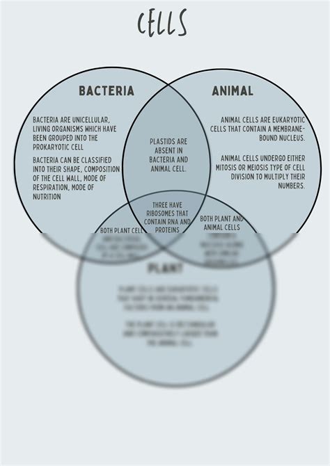 SOLUTION: Cells of an animal, bacteria and plant, difference and similarities - Studypool