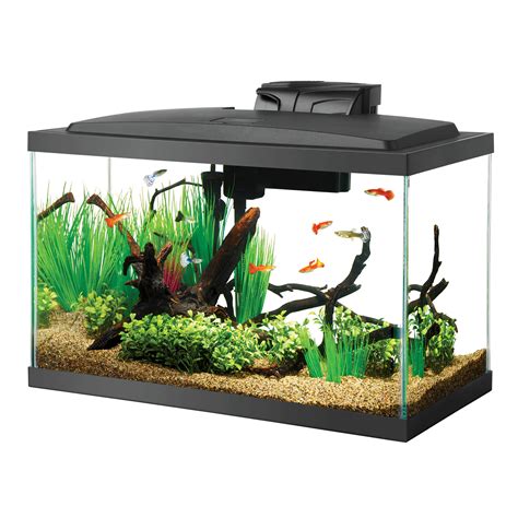 Aqueon Standard Glass Aquarium Tank 10 Gallon | Petco | 10 Gallon Fish ...