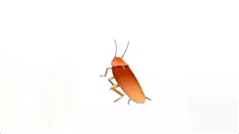 Cockroach Dance Song 的图像结果