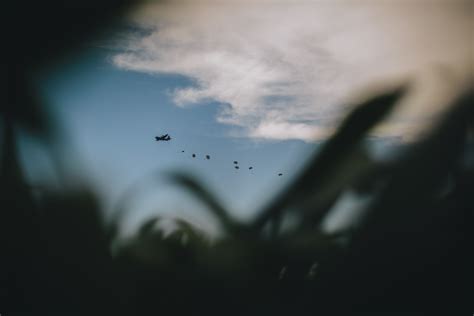 Two 173rd Air Force personnel recognized as top performers in their ...