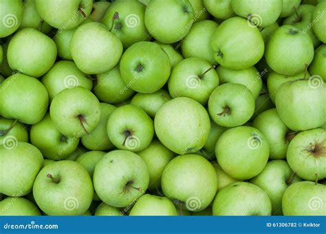 Background of Fresh Green Granny Smith Apples Stock Photo - Image of ...