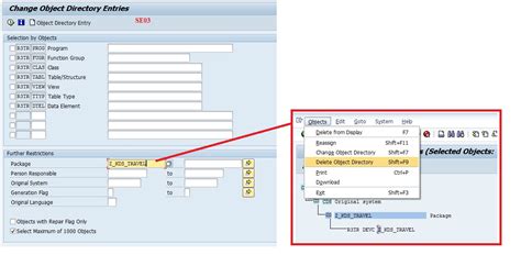 Image result for Delete File SAP EPS Delete File