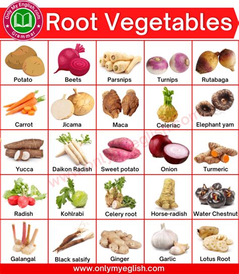 Root.food Names 的图像结果