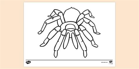 Fifteen Fantastic Halloween Activity Sheets - Twinkl