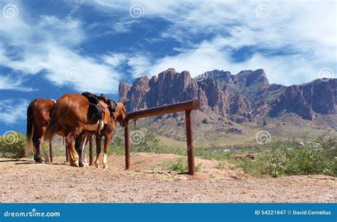 Western Landscapes With Horses