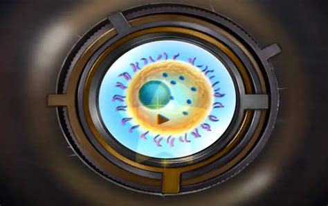 Image result for Trapmaker Chapter 4