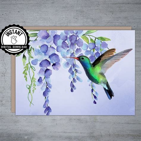 Image result for Hummingbird Card