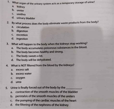 Solved: What organ of the urinary system acts as a temporary storage of urine? a. kidney b ...