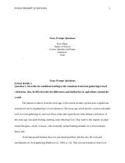 Image result for Answer Question Prompt Essay
