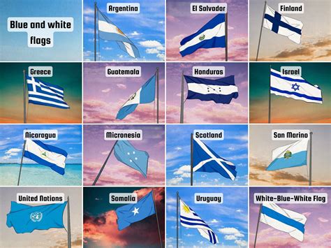 15 Countries with Blue and White Flags (+ Their Meanings)