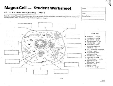 Cell Structure Worksheet Answers 的图像结果