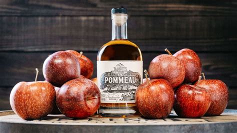 Image result for Modjo Cider