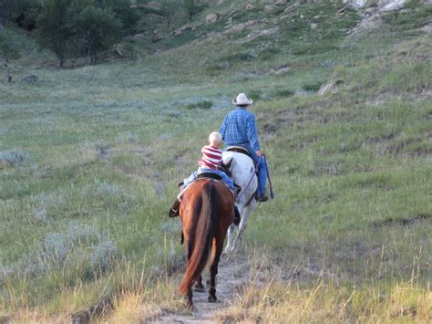 Cattle Ranch Jobs Montana at Philip Ayala blog