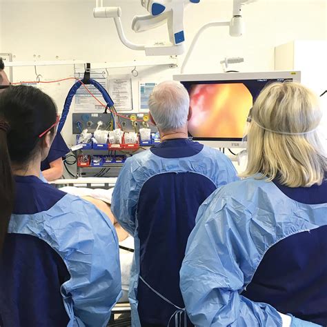 Image result for Colonoscopy Process