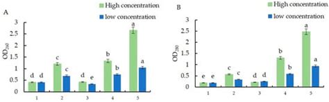 Evaluation of the Antifungal and Biochemical Activities of Fungicides ...