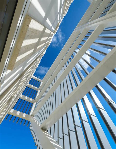 Image result for Timber Manufacturing Process