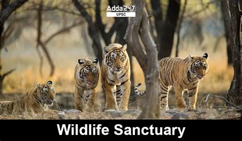 Wildlife Sanctuary, Importance of Wildlife Sanctuary in India