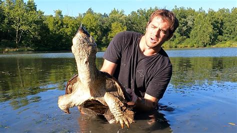 Snapping Turtle Hunting 的图像结果