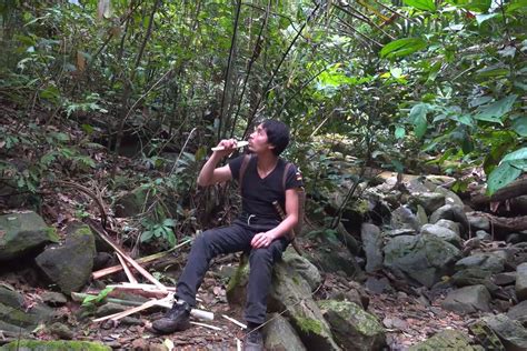 丛林生存合集，见证野外生存技能，食物水源庇护所最为重要