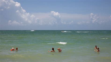 Download Florida Beach Group Of People Swimming Wallpaper | Wallpapers.com