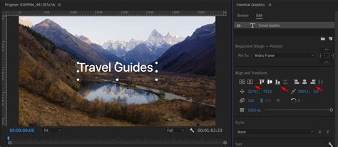 Premiere Pro Insert Text Frame 的图像结果