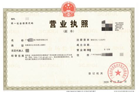 进驻速卖通需要营业执照，广州南沙2天快速注册电子商贸公司案例！_财税