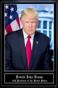 President Donald Trump President Trump Portrait Matte Finish Poster ...