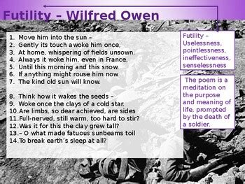 Futility- Wilfred Owen by Holly van Heerden | TPT