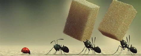 关于蚂蚁的短语 描写蚂蚁的句子_知秀网