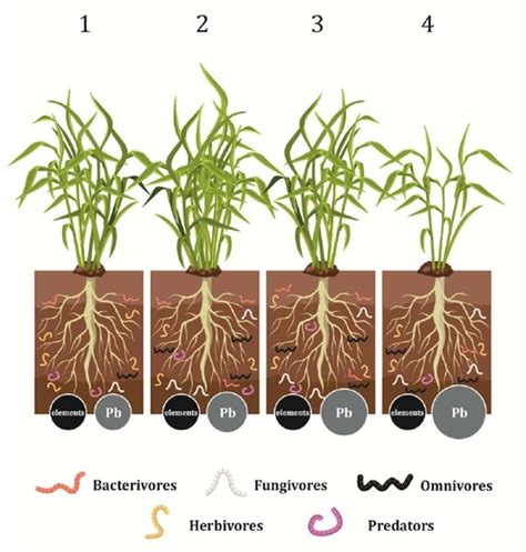 Can Nematode Communities Work as an Indicator of Soil Health in a ...