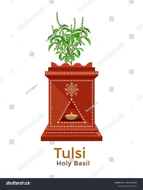 Illustration Indian Holy Basil Called Tulsi Stock Vector (Royalty Free ...