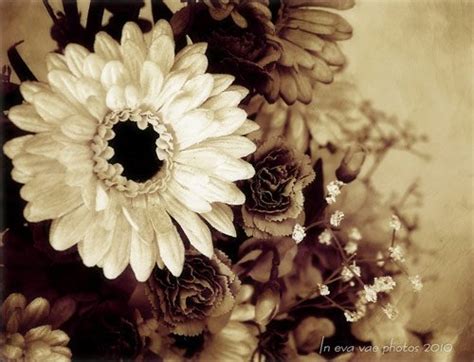 Texture Photographers Low Resolution 的图像结果