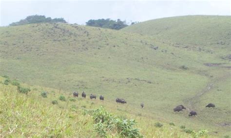 Arippa (Trivandrum) - 2020 What to Know Before You Go (with Photos ...