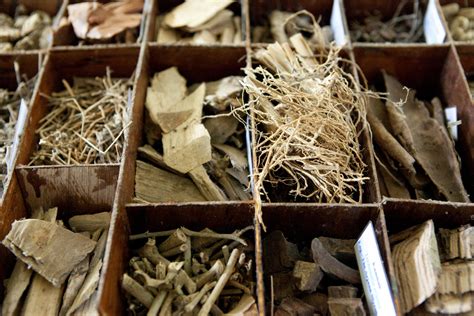 Ayurvedic Herbal Medicine 的图像结果