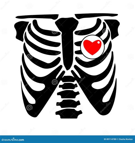 Chest X Ray Cartoons, Illustrations & Vector Stock Images - 289995 Pictures to download from ...