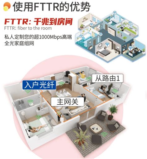 行业新闻|FTTR推动接入网需求再创新高-深圳市砺芯科技有限公司