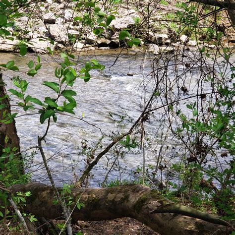 Bailey's Point Campground in Barren River Lake, Kentucky: Reviews and ...