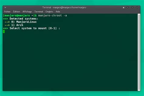 Chroot Tutorial 的图像结果